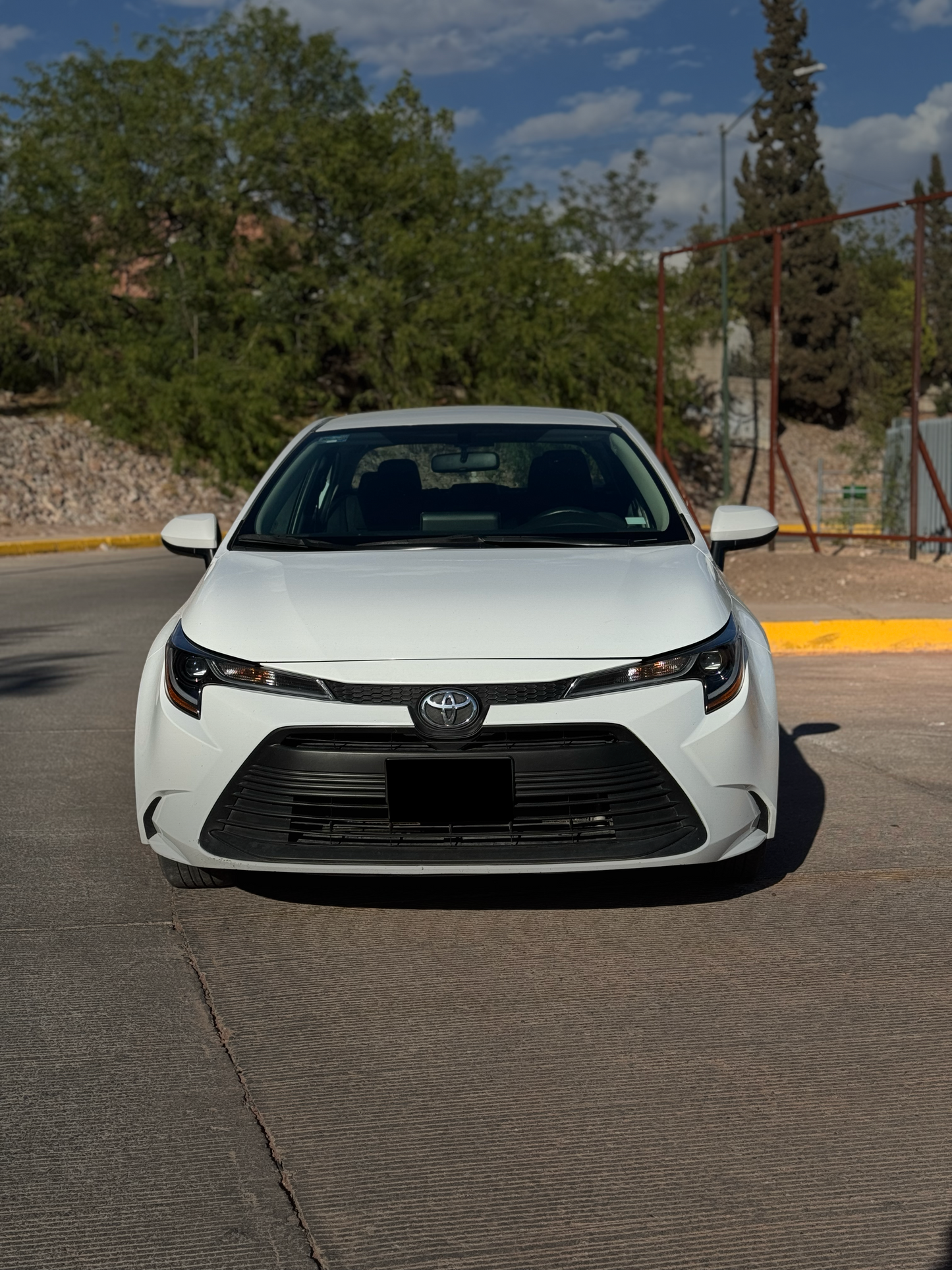 2023 TOYOTA COROLLA